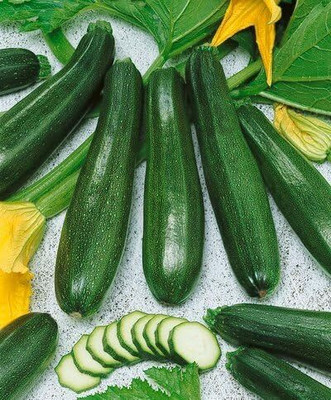 Qualtivate GBPT-1A Zucchini Elite Hybrid Summer Squash Seeds Seed(30 per packet)