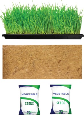 Grow Basket 2 Vegetable Seed Pack with 1 Microgreen Tray- 2ft x 1ft + 1 Coco mat- 2ft x 1ft Seed(2 g)