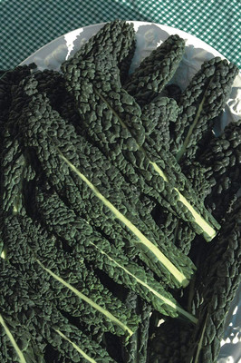 CYBEXIS Nero Di Toscana Borecole Curly Kale Vegetable Seeds2000 Seeds Seed(2000 per packet)