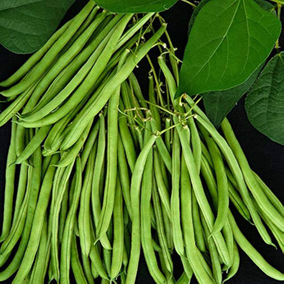 ibains Cluster beans seeds pack of 76 Seed(76 per packet)