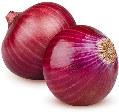 WILLVINE LXI-1229 Hybrid Black Onion Seeds Seed(1000 per packet)