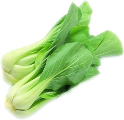 CYBEXIS Organic White Cabbage Seeds2000 Seeds Seed(2000 per packet)