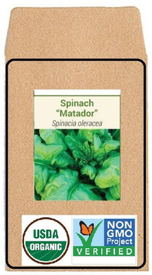 CYBEXIS Hybrid Seeds-Matadoor Spinach4000 Seeds Seed(4000 per packet)