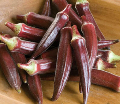Quentova Burgundy Red Okra Seeds-SWAT-7N Seed(200 per packet)