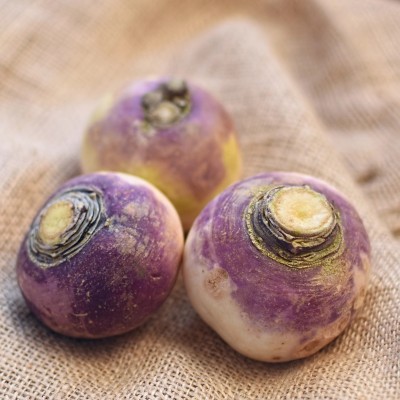 Avysa White Purple Ball Turnip/Shalgam Seed(1500 per packet)