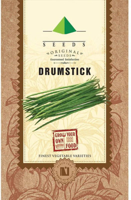 CYBEXIS Drumstick Moringa Seeds100 Seeds Seed(100 per packet)