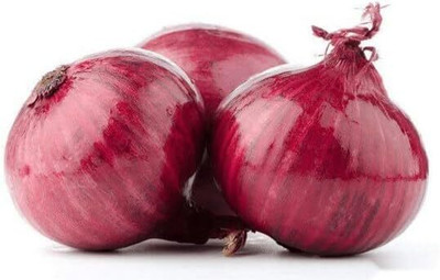 KNESSiN Heirloom Burgandy Red Onion Vegetable Seeds for Garden-(2400 Seeds) Seed(2400 per packet)