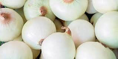 ENINE White Onion Seed(100 per packet)