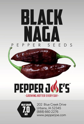 Qualtivate AXL-1AT Superhot Black Naga Chilli Seed(300 per packet)