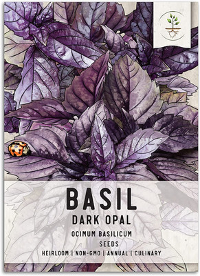 Qualtivate GUA-99 Purple Opal Basil Seed(1000 per packet)