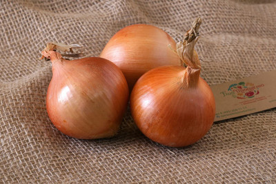 VibeX ® VXI-699 Giant Onion Chalcedone Seeds Seed(1000 per packet)