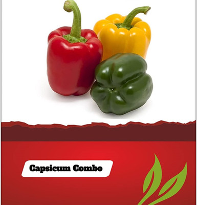 Qualtivate XXX-9A Capsicum Mix Seed For Planting Seed(100 per packet)