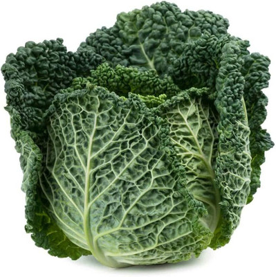 WILLVINE HAR -XII Savoy Perfection Cabbage Seeds [50g] Seed(15000 per packet)