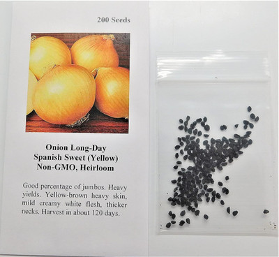 WILLVINE SYN -IV Onion Intermediate Day Spanish Sweet [50g] Seed(30000 per packet)