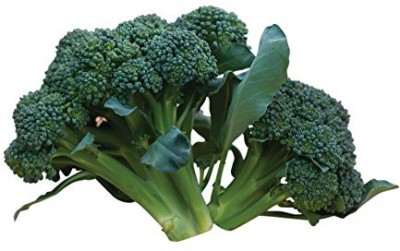 KNESSiN Broccoli Sun King Seed(200 per packet)