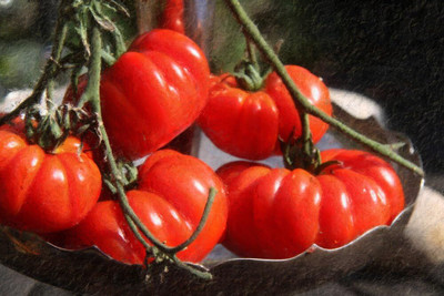 KNESSiN XII-99 Large Ribbed Tomatoes Seed(200 per packet)
