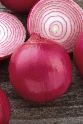 CYBEXIS NBIR-93 - Red Creole Onion - (4500 Seeds) Seed(4500 per packet)