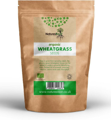 KNESSiN Wheatgrass Sprouting Seed(5000 per packet)