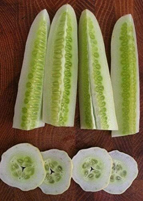 Qualtivate HYB-8A Silver Slicer Cucumber Seeds Seed(300 per packet)