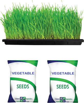 Grow Basket 2 Vegetable Seed Pack with 1 Microgreen Tray- 2 x 1ft unbreakable strong quality Seed(2 g)