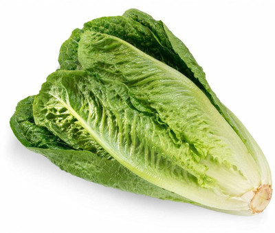 WILLVINE HUA -III High Germination Chinese Cabbage Seeds [10g] Seed(3000 per packet)