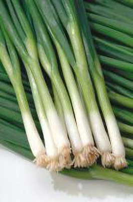 XOLDA Organic bunching onion Seed(26 per packet)