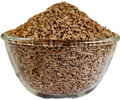 QWGPT WHEAT SEEDS FOR FARMING OR AGRICULTURE Seed(1000 per packet)