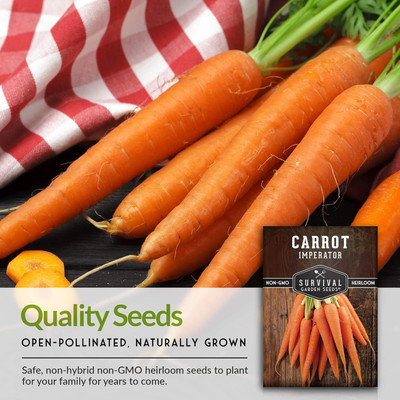 Qualtivate GBPT-8A Imperator 58 Carrot Seed Seed(300 per packet)