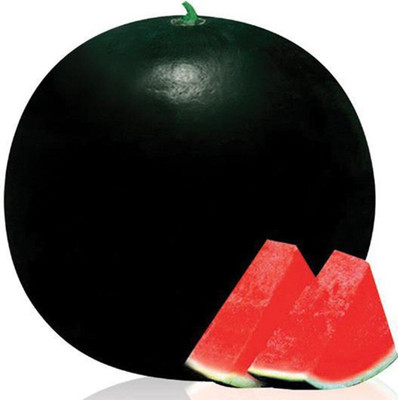 Cloud Farm Farmer Water Melon F1 Arya [10gm Seeds] Seed(10 g)
