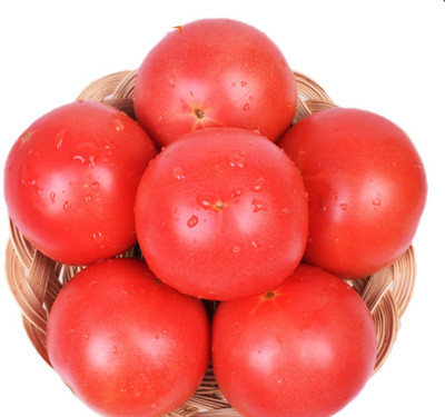 VRAKSHA High Quality Organic Tomatoes Seed(1500 per packet)