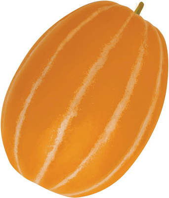 Qualtivate PUAS-9A Musk Melon - Dae Jang Geum Seed(200 per packet)