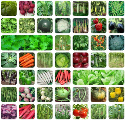 Cloud Farm ASD3 50 DIFFERENT VEGETABLES AND FRUIT SEEDS PREMIUM COMBO PACK Seed(2010 per packet)