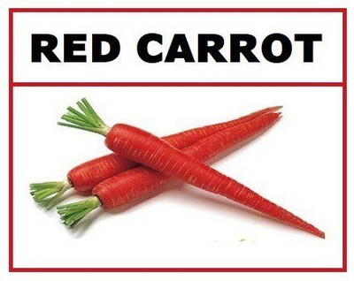 ActrovaX VXI Organic Red Carrot [2000 Seeds] Seed(2000 per packet)