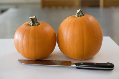 CYBEXIS LXI-39 - Pumpkin Creeper Vegetable - (300 Seeds) Seed(300 per packet)