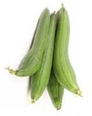 Aywal Hybrid Desi Sponge Gourd (Tori) Seed(600 per packet)