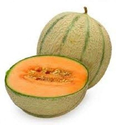 VibeX XLL-52 - Pusa Sharbati Kharbuj / Musk Melon - (450 Seeds) Seed(450 per packet)