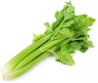 ENTENT Celery Vegetable/Herb Seed(50 per packet)