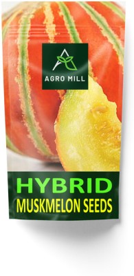 AGRO MILL ORGANIC MUSK MELON/ KHARBUJA/KHARBOOJA HYBRID F1 PREMIUM QUALITY Seed(5 g)