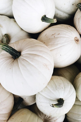 WILLVINE GBPUT-646 Lumina Ghost Polar Bear Pumpkins Squash Seed(50 per packet)