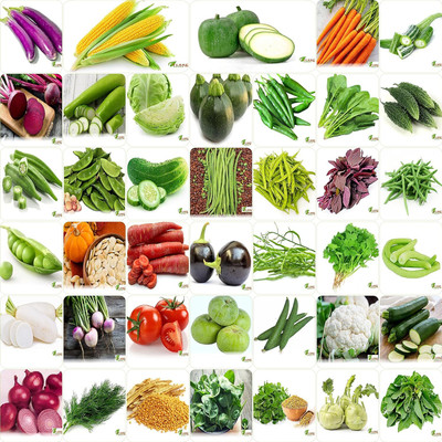 CRGO VEGETABLE COMBO Seed(3200 per packet)