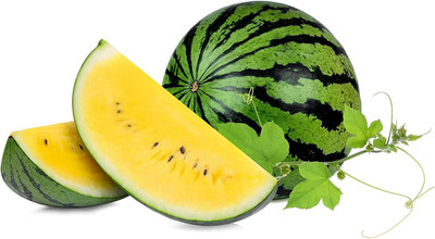 CYBEXIS NBIR-93 - Yellow Watermelon - (1350 Seeds) Seed(1350 per packet)