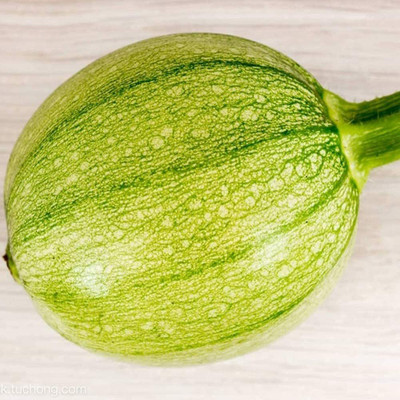 CYBEXIS Green Slender Zucchini Seeds 100 Seeds Seed(100 per packet)