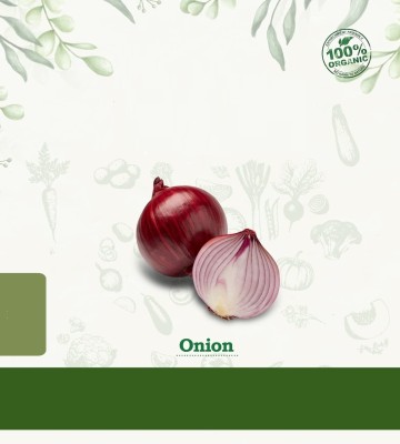 Qualtivate RES-9A Pyaaj / Veṅkayam / Ullipaya / Onion Seeds Seed(500 per packet)