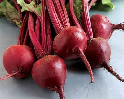 Quentova Beetroot - Red Ace-NTL Seed(200 per packet)