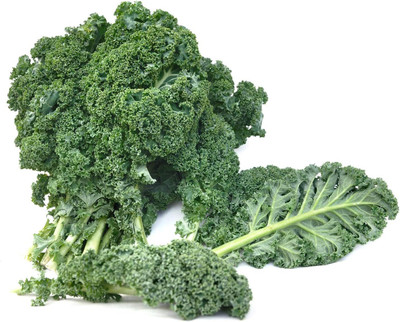 WILLVINE SCI -II Kale Blue Scotch Curled Seeds [50g] Seed(15000 per packet)