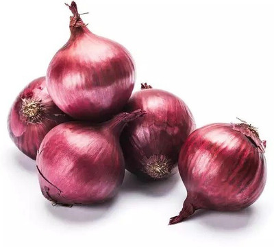Quentova Nasik Onion-RAJ-7O Seed(250 per packet)