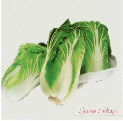 WILLVINE PUSA -XVI High Germination Chinese Cabbage Seeds [10g] Seed(3000 per packet)