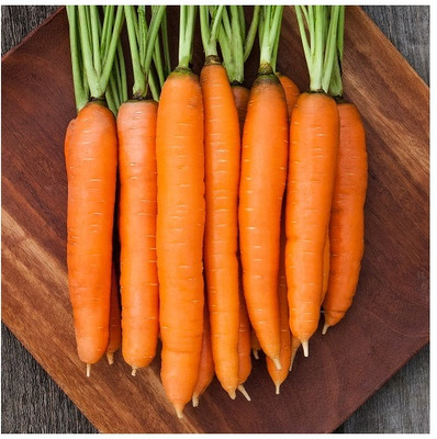 ZIFR Carrot - Orange Vegetable Seed(300 per packet)