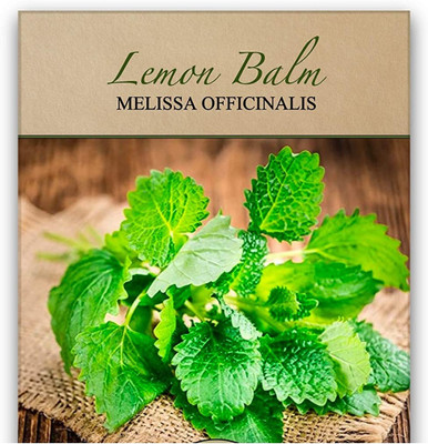 Qualtivate KGF -70 Lemon Balm Herb Seed Seed(500 per packet)