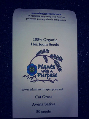 CYBEXIS PUAS-43 - Sweet Oats for Cats - (4500 Seeds) Seed(4500 per packet)